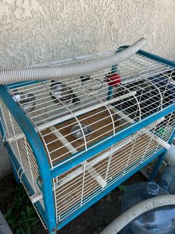 Birdcage