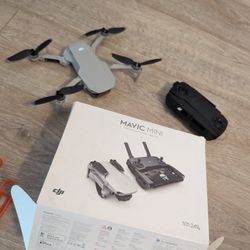 MAVIC MINI drone