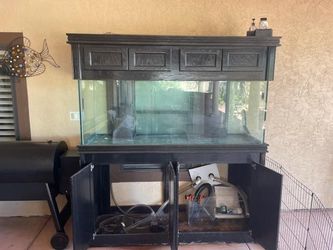 Fish Tank