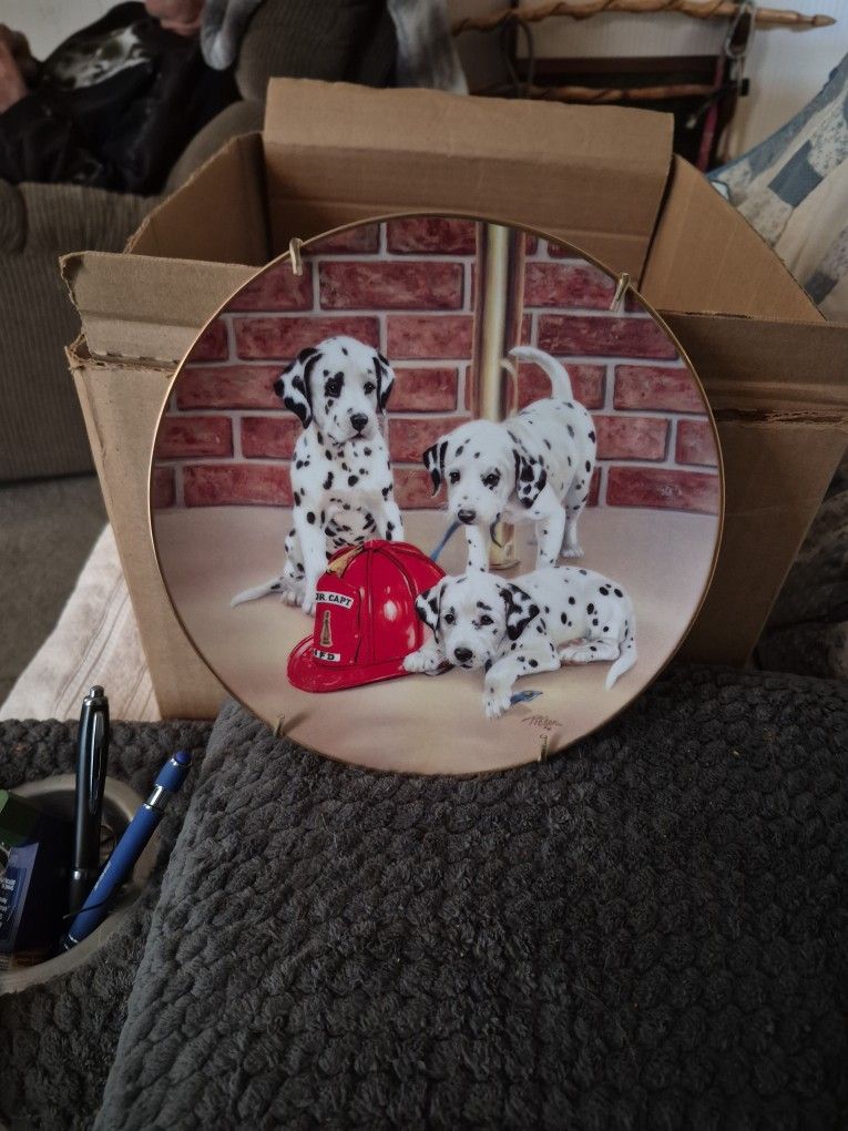 This Is A  Collection  Plate. Back Of The Plate  Said  Fire House Frolic. 