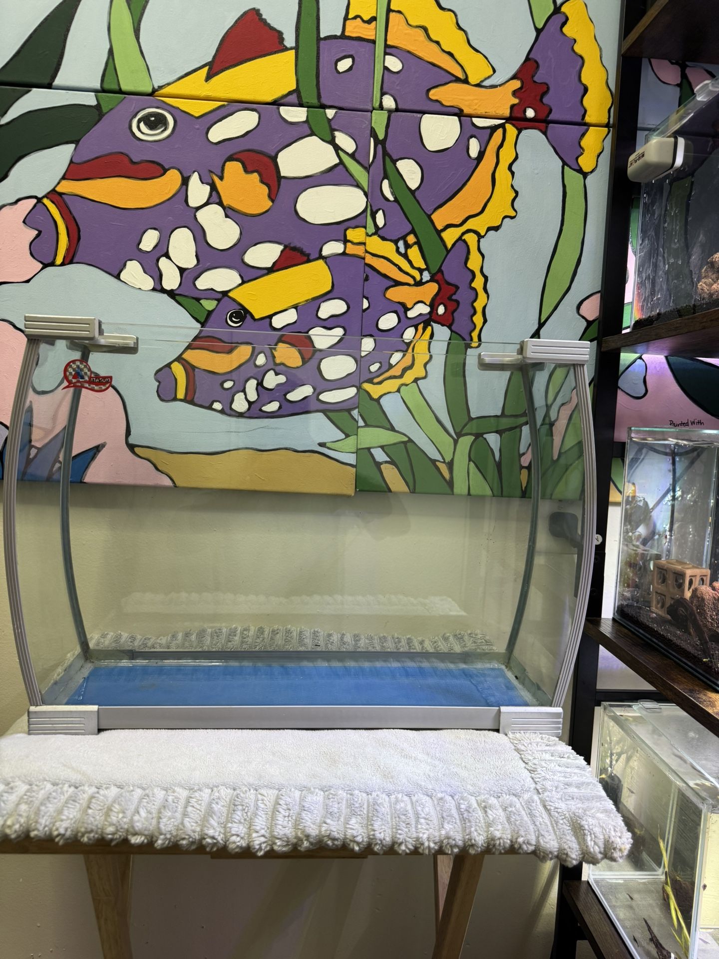 10 Gallon Fish Tank