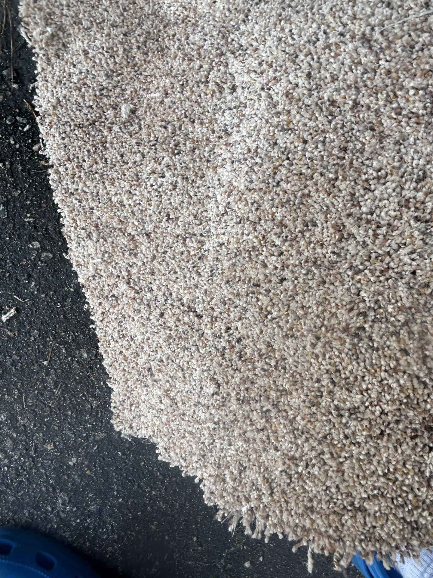 Carpet