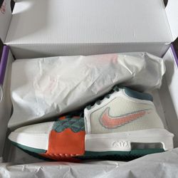 New Nike LeBron Witness Xiii