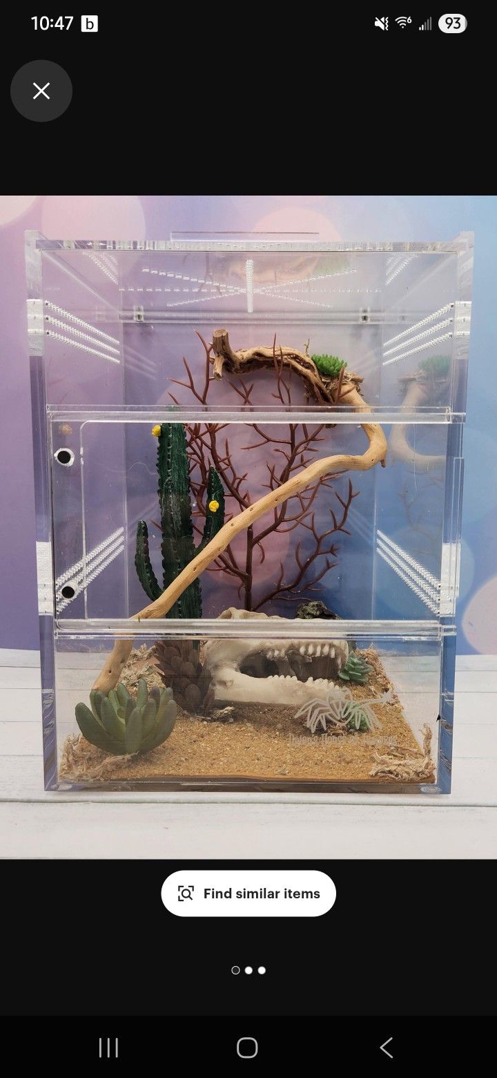 Jumping Spider Tank And Access.