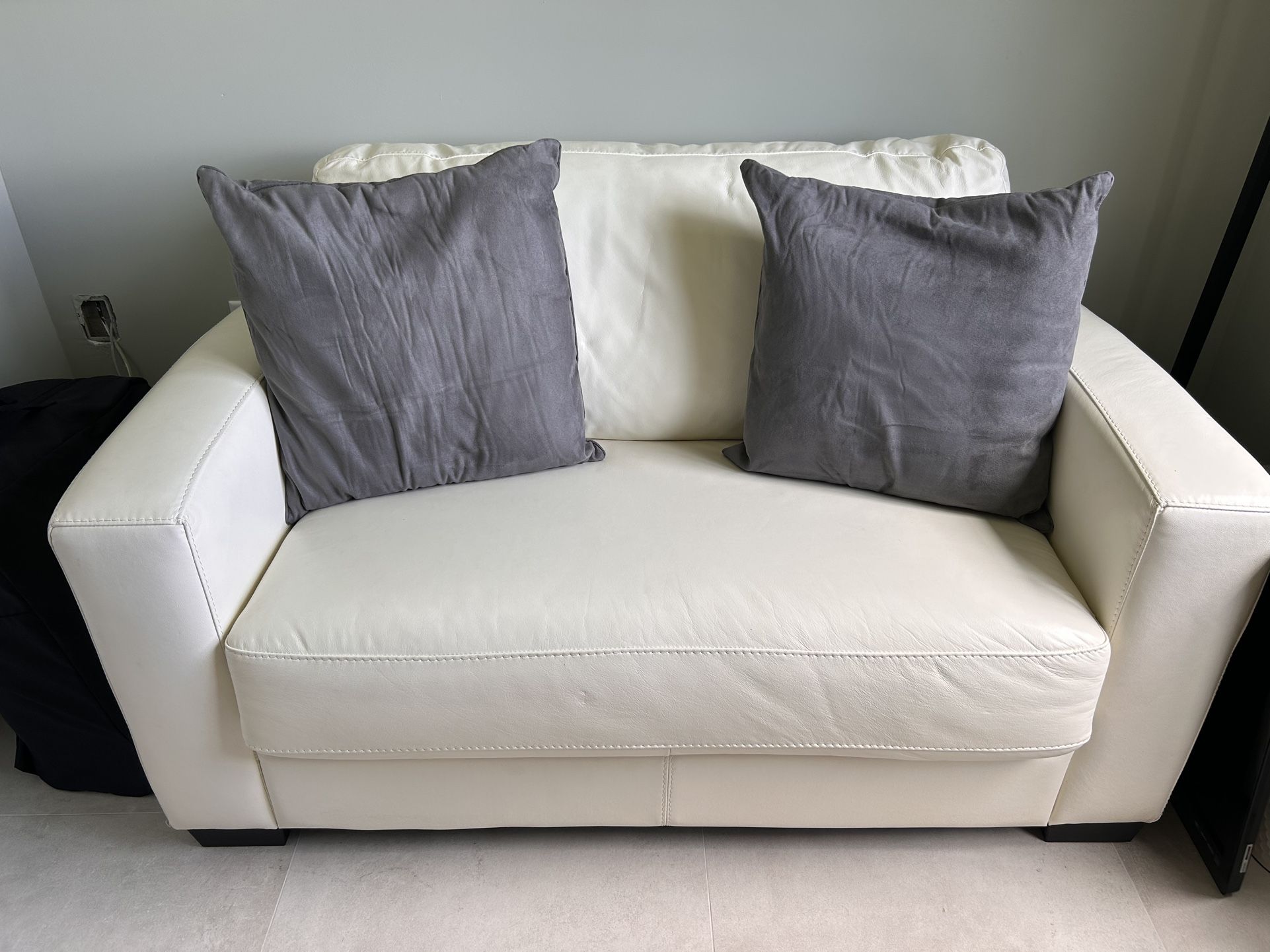 Pull Out Couch 
