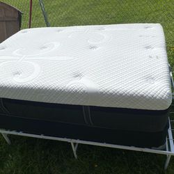 Full stern and foster