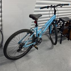 Trek mountain bike