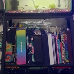 20 Gal Tall Fish Tank