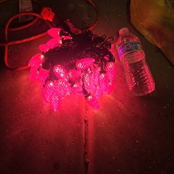 C9 pink/purple string lights