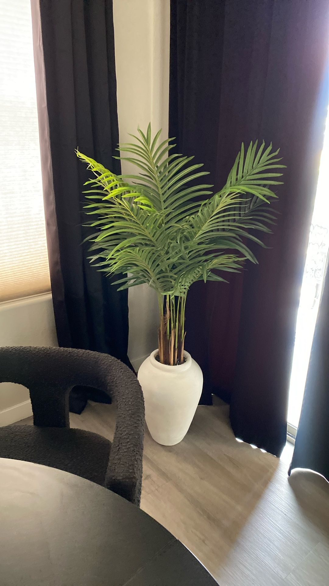 Plant