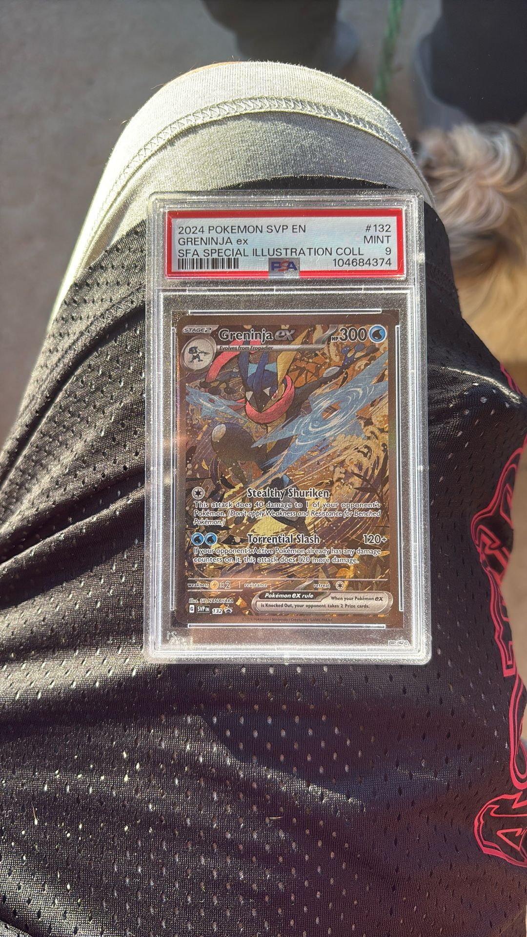 Psa And Cgc Pokémon Cards