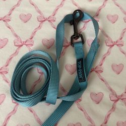 dog leash 