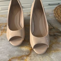 Wedge Pumps