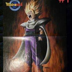 DBZ/NINTENDO POWER POSTER'S( READ DISCRIPTION)
