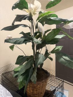artificial rose tree
