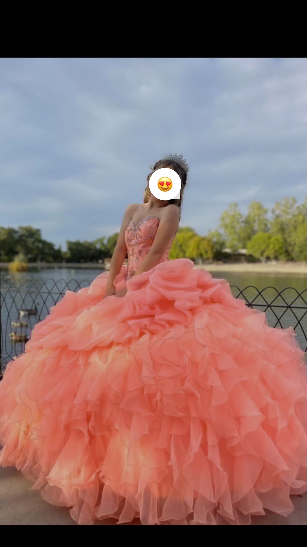 Sweet 16 / Quinceanera Dress For Sale