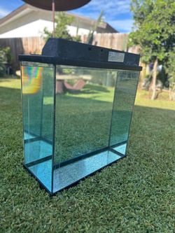 25 gallon aquarium