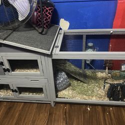 Rabbit Hutch / Guinea Pig Cage