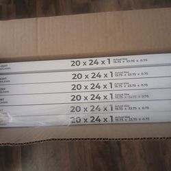 Breathe Simply Air Filters 6 Never Used