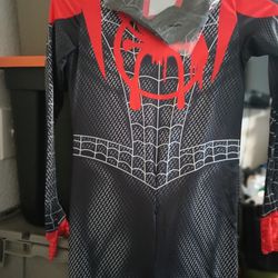 Halloween Costume (Spiderman Miles Morales)