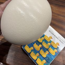 Ukrainian Easter Eggs Supplies 