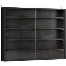 VITRINA DE PARED/WALL-MOUNTED DISPLAY CABINET