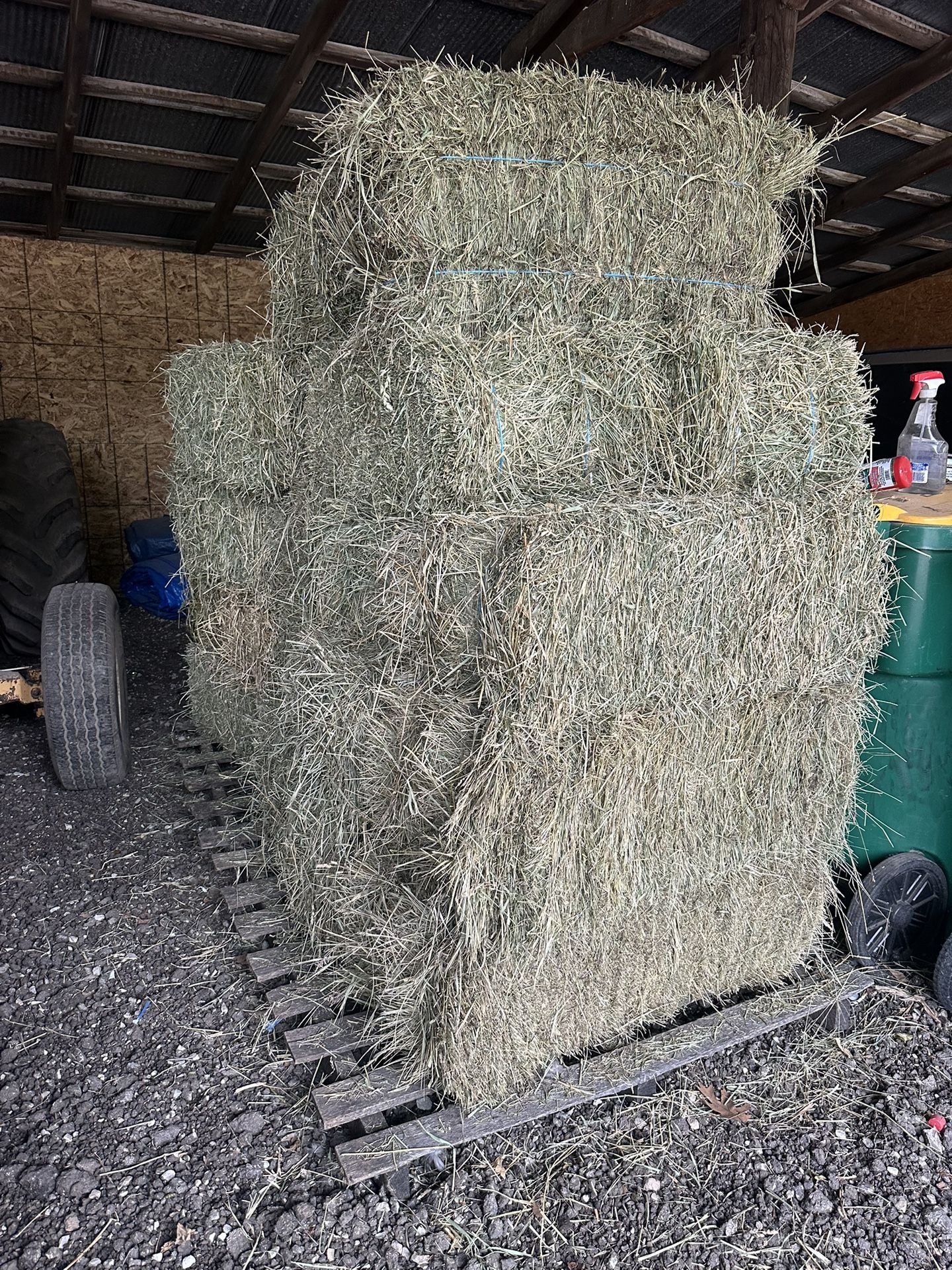 Hay