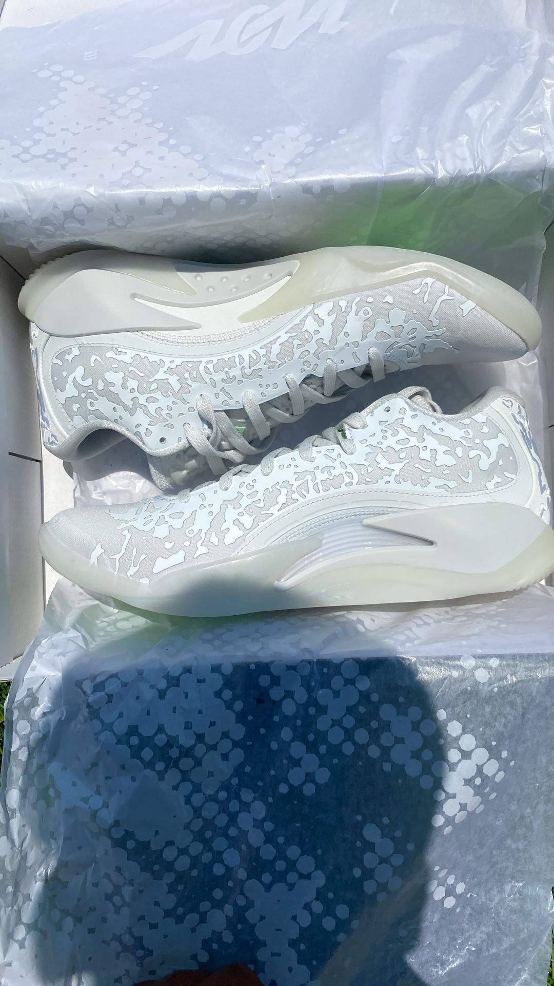 Jordan Zion 3
