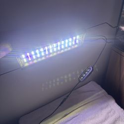 Aquarium Lights 
