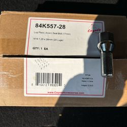 Acorn Seat Bolt (17mm)