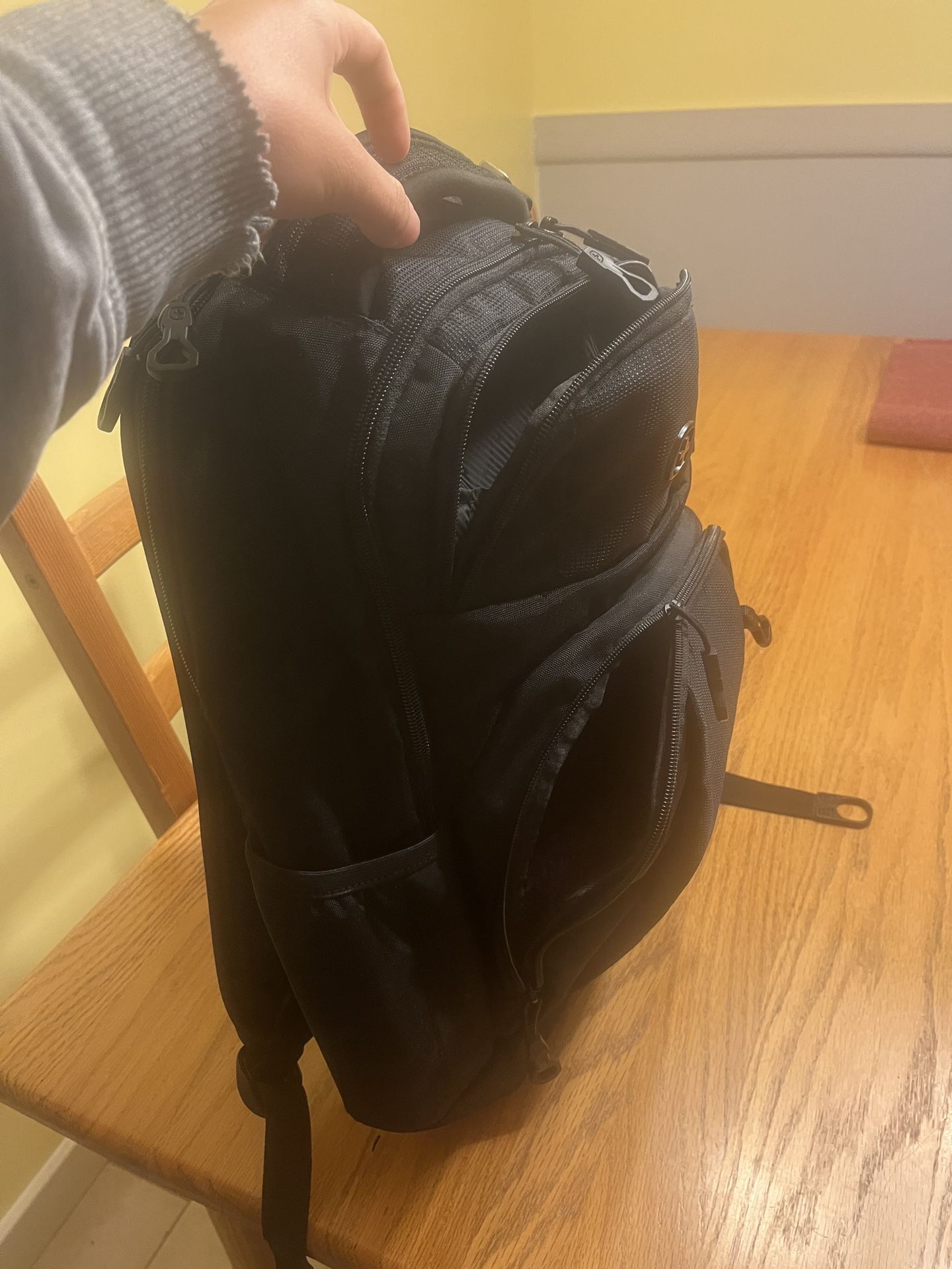 Swiss Gear Back Pack