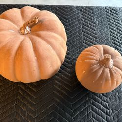 Pumpkins - Hand Painted 