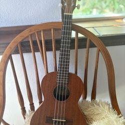 Kala KA-15T Tenor ukulele