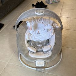 Baby Bouncer