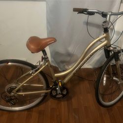 Large Bike And Exercise Machine