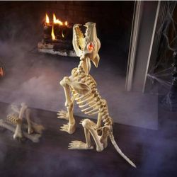 2.5 Ft. Animated LED Sit-And-Stand Skeleton Wolves (2-Pack) Halloween Decoration