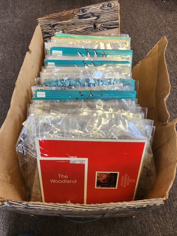 73 Children's Learning Vinyl Records ( Lps)