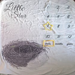 Baby Milestone Blanket -in Box 