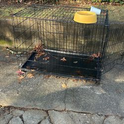 large dog crate 