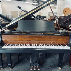 Young Chang 5'9" Model G-175 Ebony Satin Grand Piano (incl. Tax)