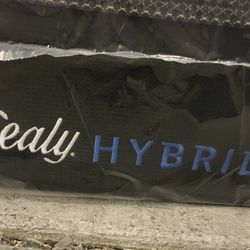 King  Hibrid 