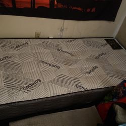 Xl Twin Mattress 