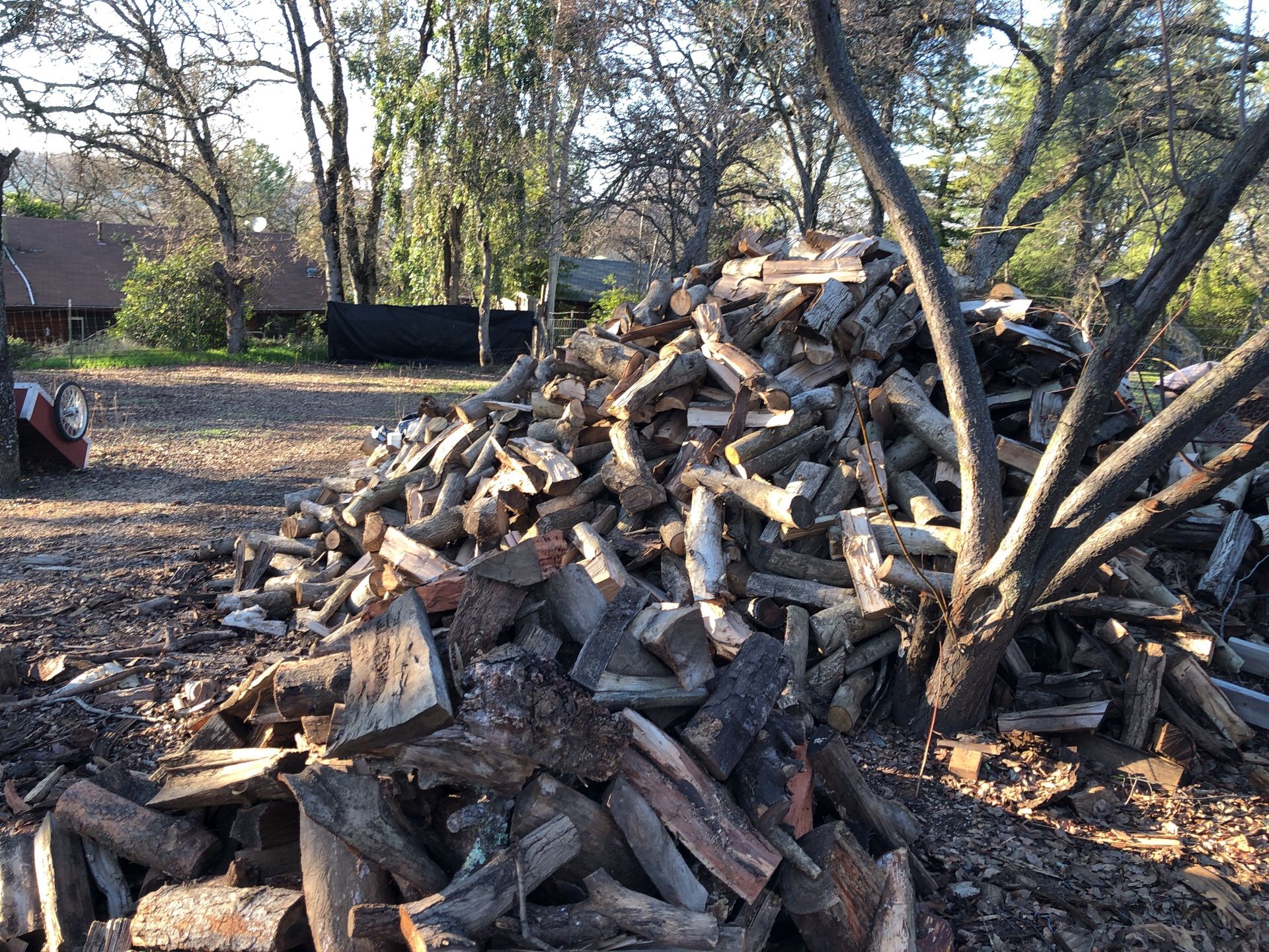 Walnut firewood for sale