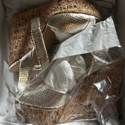 Giuseppe Zanotti wedge sandals