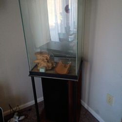 Aquarium 5 Foot Tall