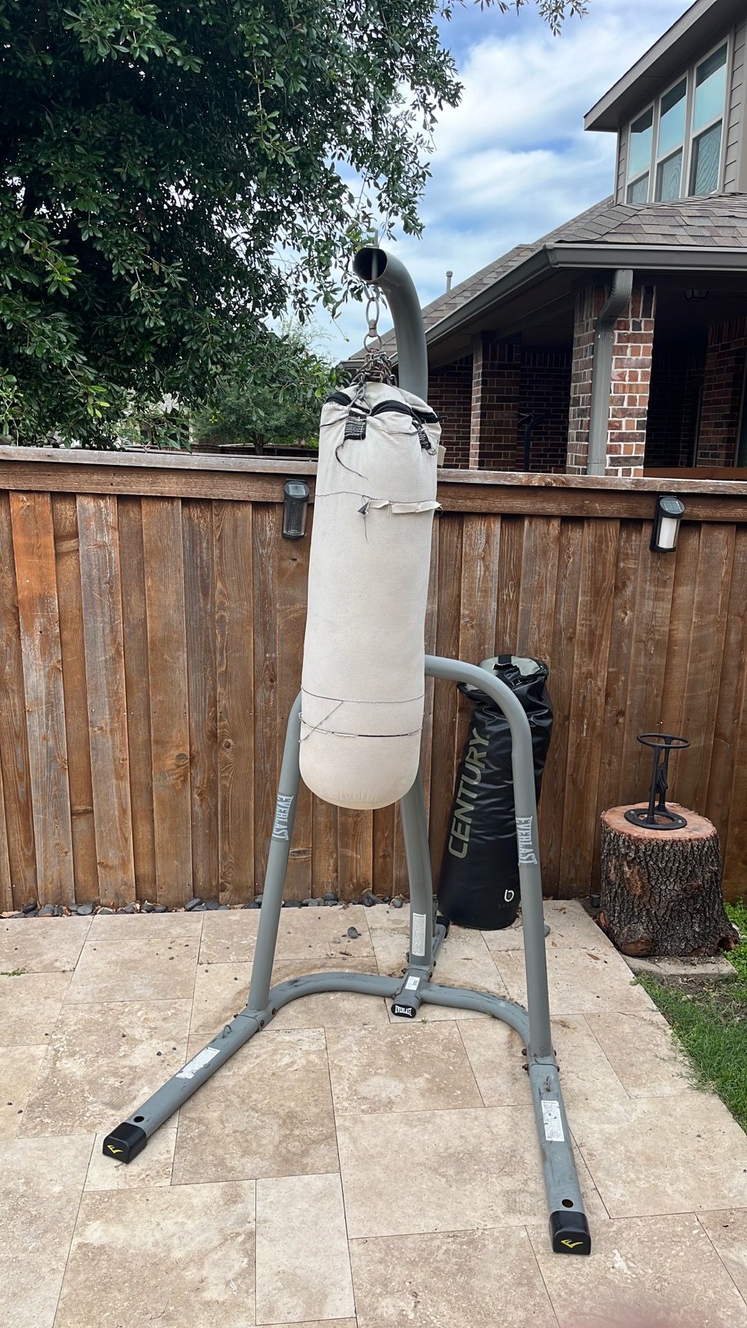 Boxing stand and bags