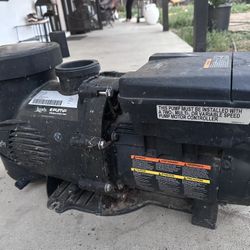 Jandy Pool Pump