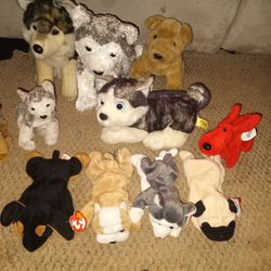 Collection Of Dog Beanie Babies And Stuffed Animal Dogs