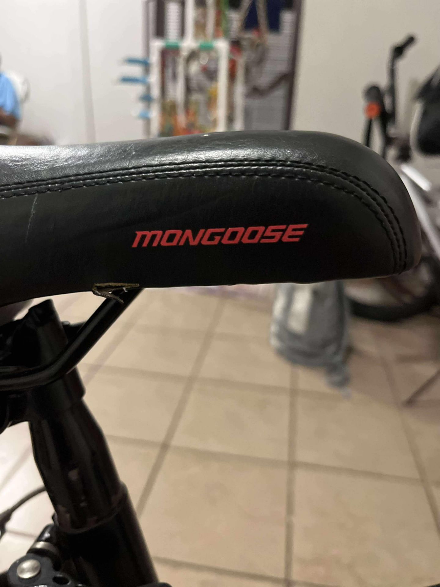 Mongoose Mountain Bike