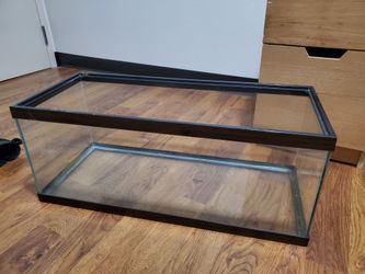 30 x 12 x 12 tank/terrarium